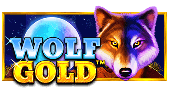 Слот Wolf Gold от провайдера Casino Play